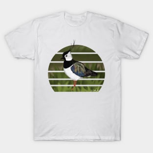 jz.birds Northern Lapwing Bird Animal Design Illustration T-Shirt